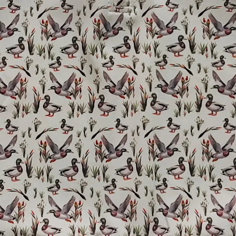 Cattail Duck Boy Quarter Zip
