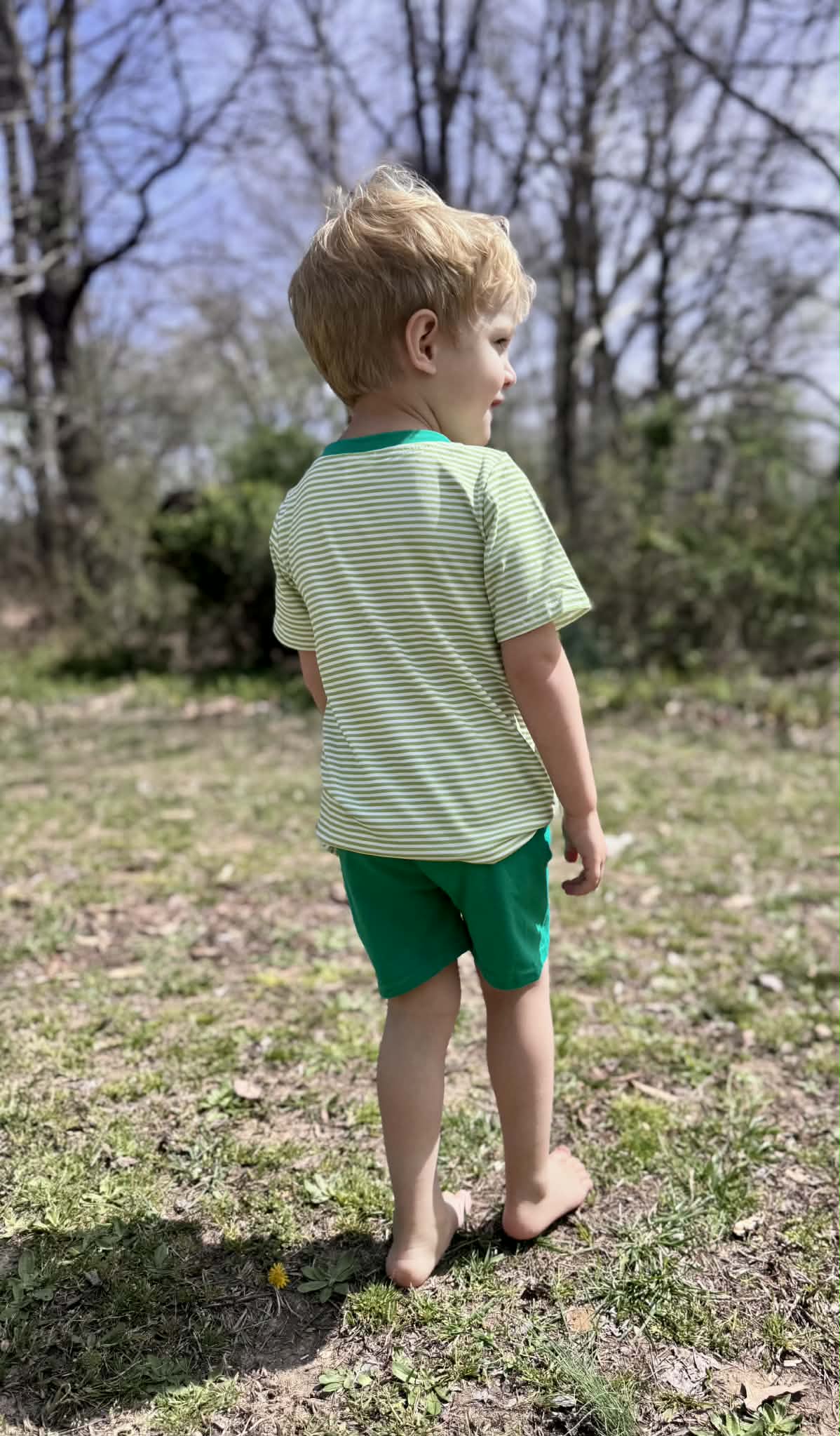 Little Green Tractor Set